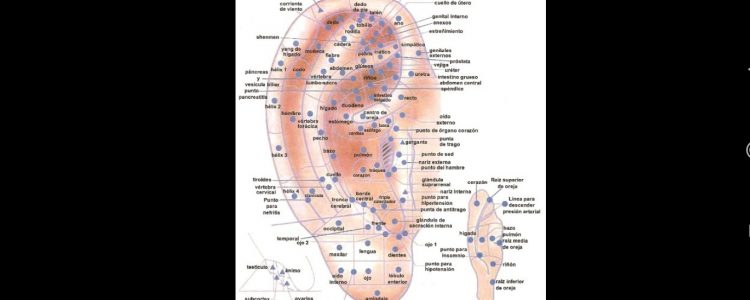 Auriculoterapia